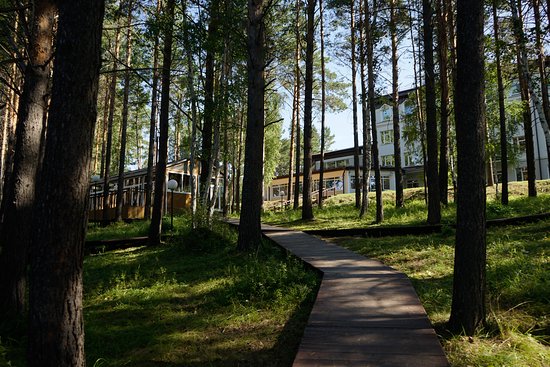 Земельные активы